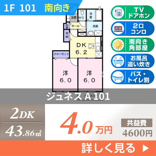 ジュネス A 101