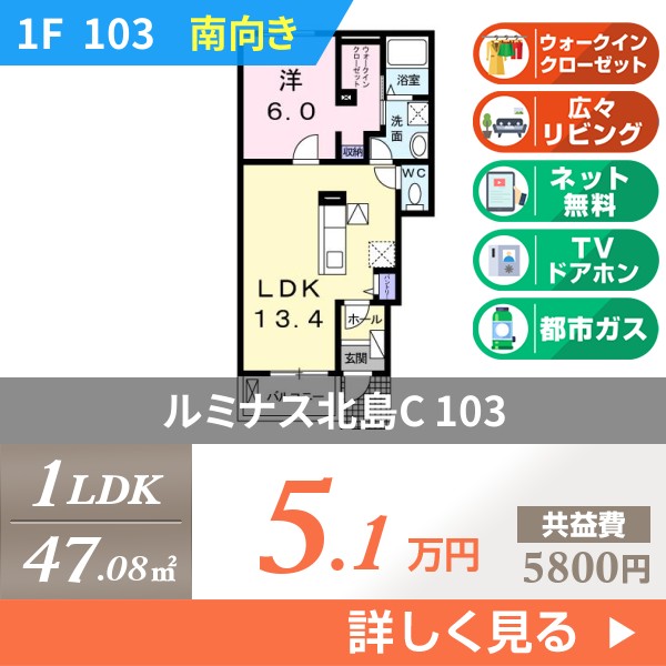 ルミナス北島C 103