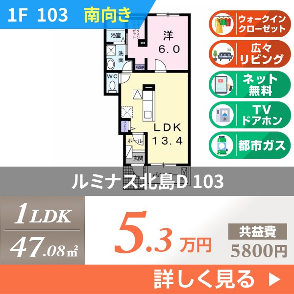 ルミナス北島D 103