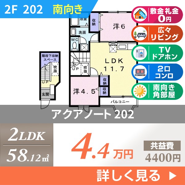 アクアノート 202