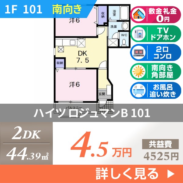ハイツ ロジュマンB 101