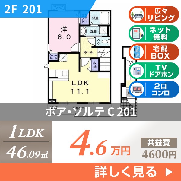 ボア・ソルテ C 201