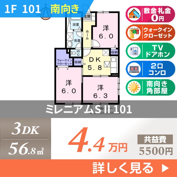 ミレニアムS II 101