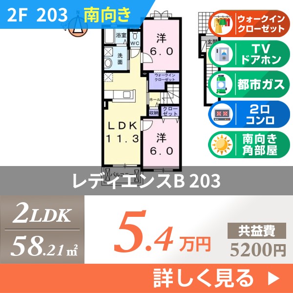 レディエンスB 203