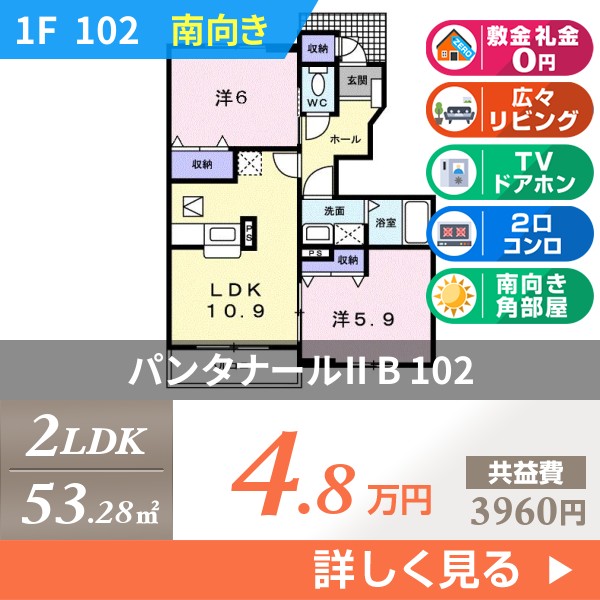 パンタナールII B 102