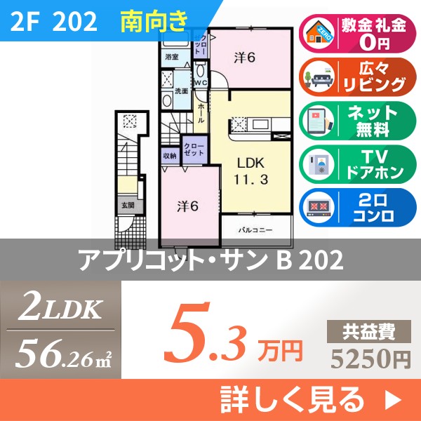 アプリコット・サン B 202