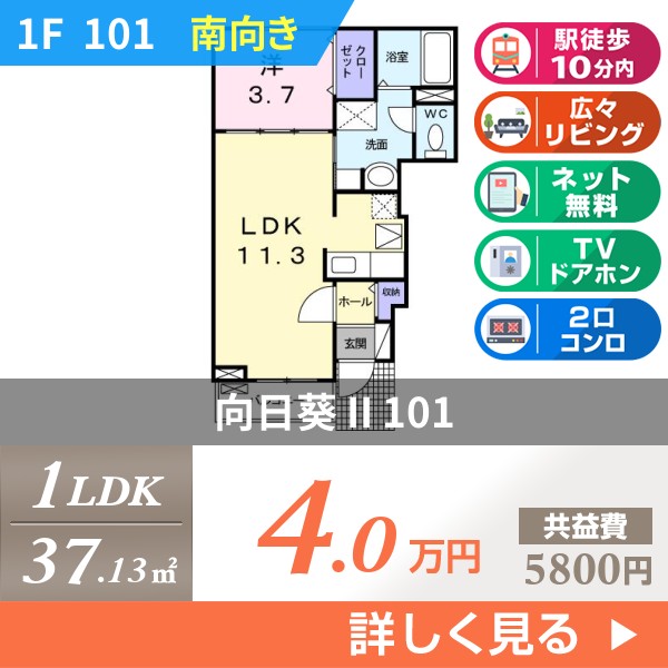 向日葵 II 101