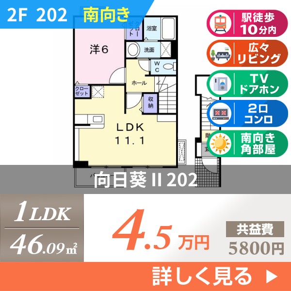向日葵 II 202
