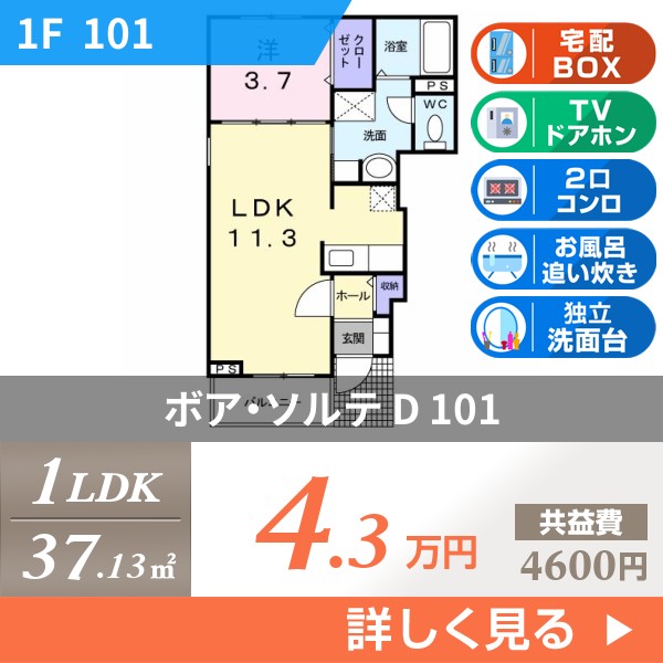 ボア・ソルテ D 101