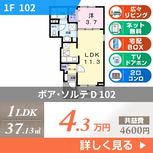 ボア・ソルテ D 102