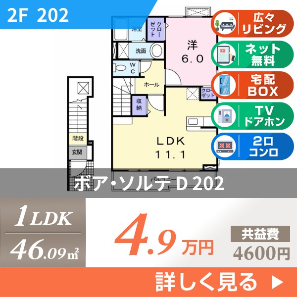 ボア・ソルテ D 202