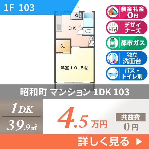 昭和町 3階建マンション 1994年築 103