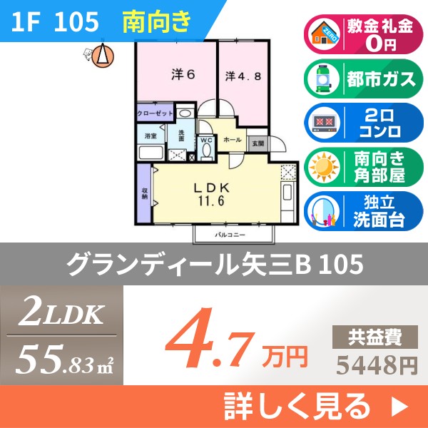 グランディール矢三B 105
