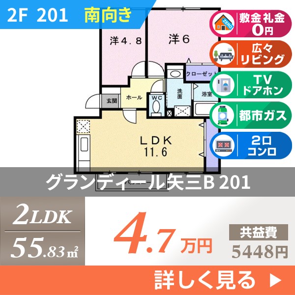 グランディール矢三B 201