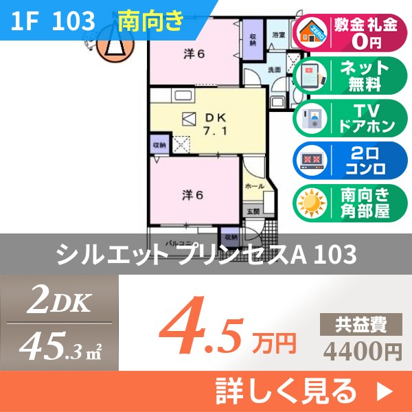 シルエット プリンセスA 103