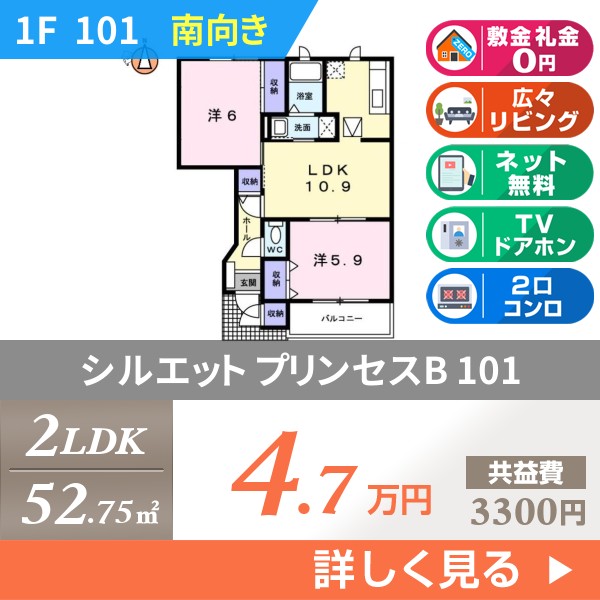 シルエット プリンセスB 101