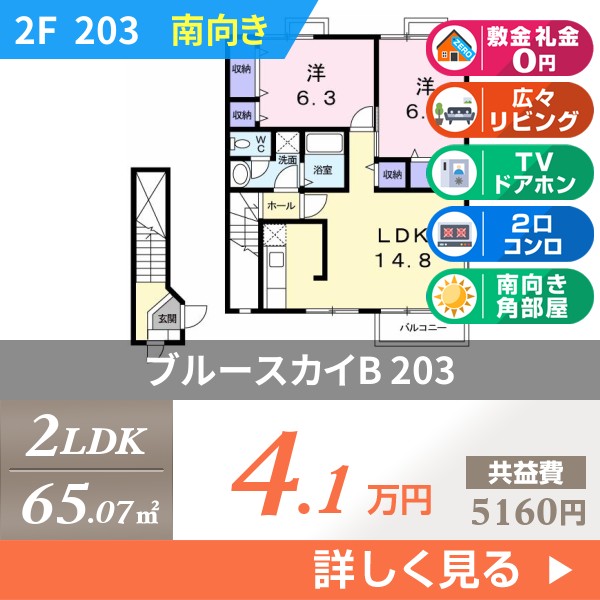 ブルースカイB 203