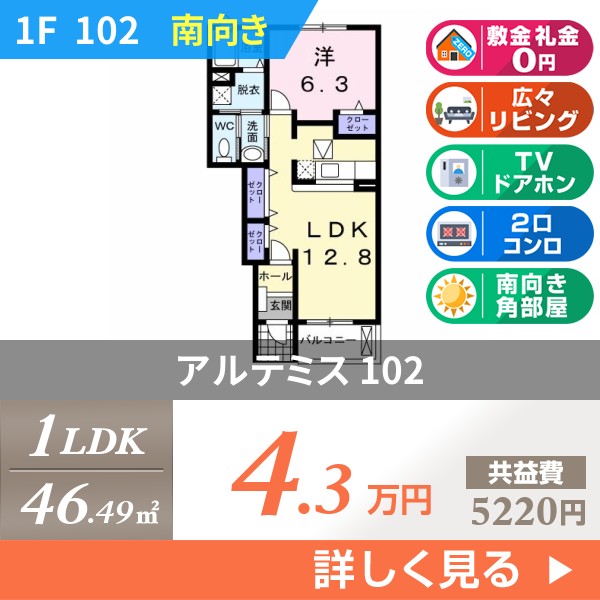 アルテミス 102