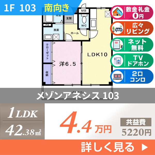 メゾンアネシス 103