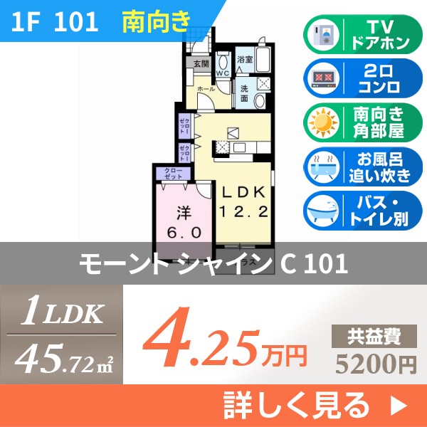 モーント シャイン C 101