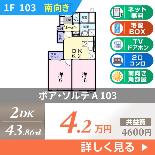 ボア・ソルテ A 103