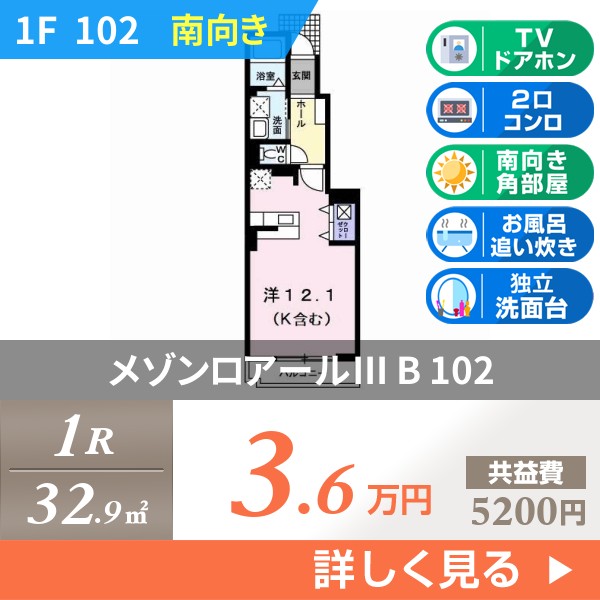 メゾンロアールIII B 102