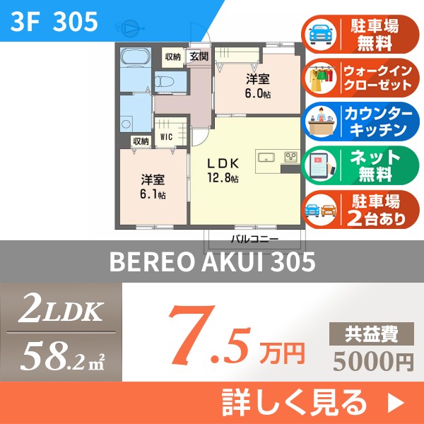 BEREO AKUI 305