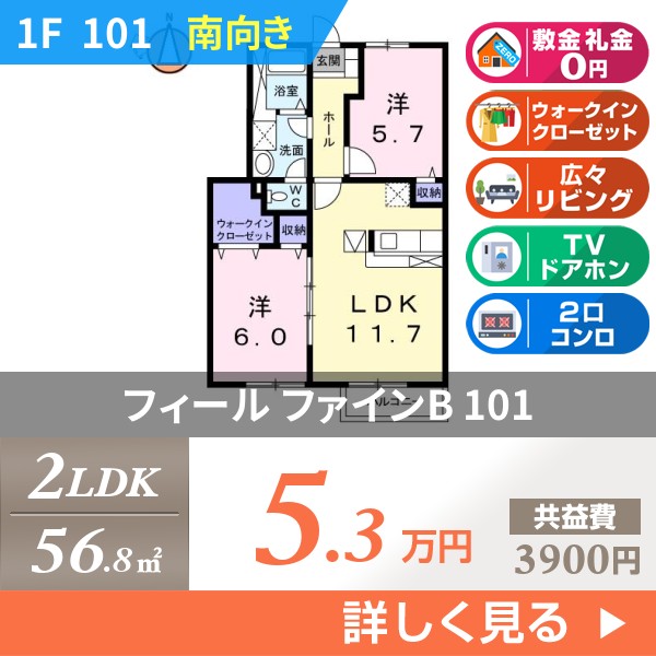 フィール ファインB 101