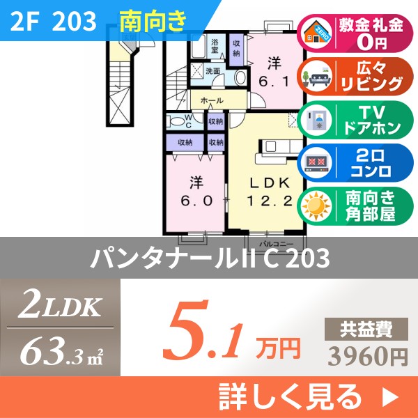 パンタナールII C 203