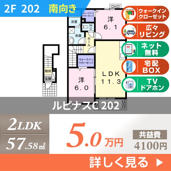 ルピナスC 202