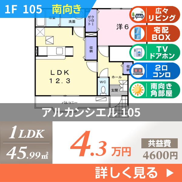アルカンシエル 105