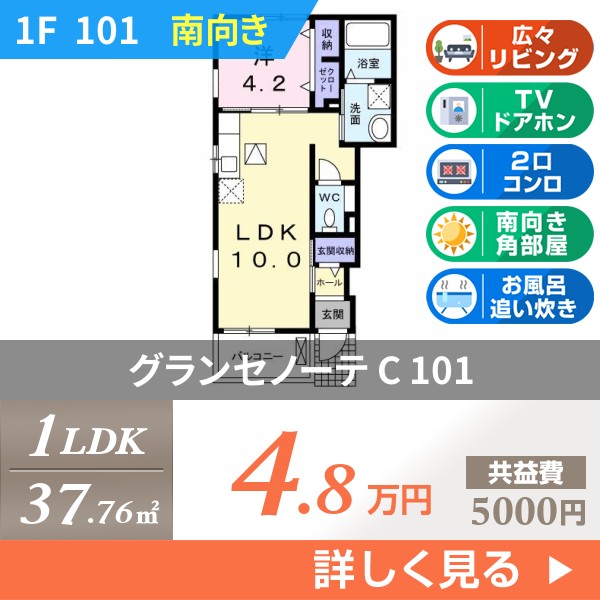 グランセノーテ C 101