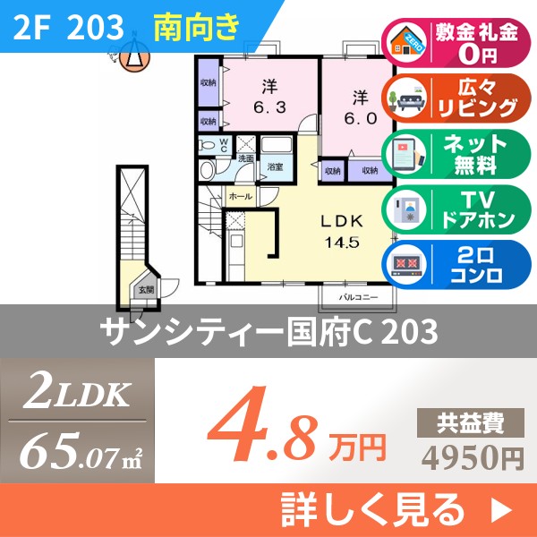 サンシティー国府C 203