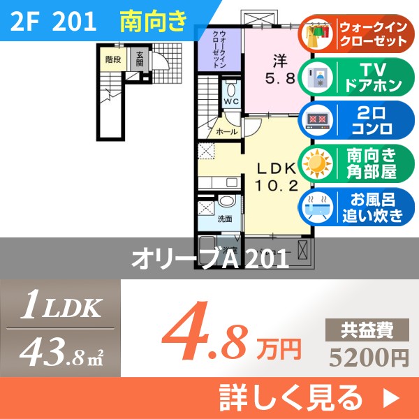 オリーブA 201