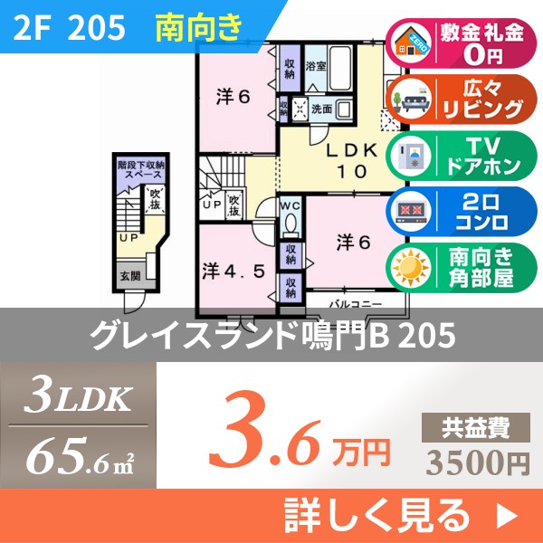 グレイスランド鳴門B 205
