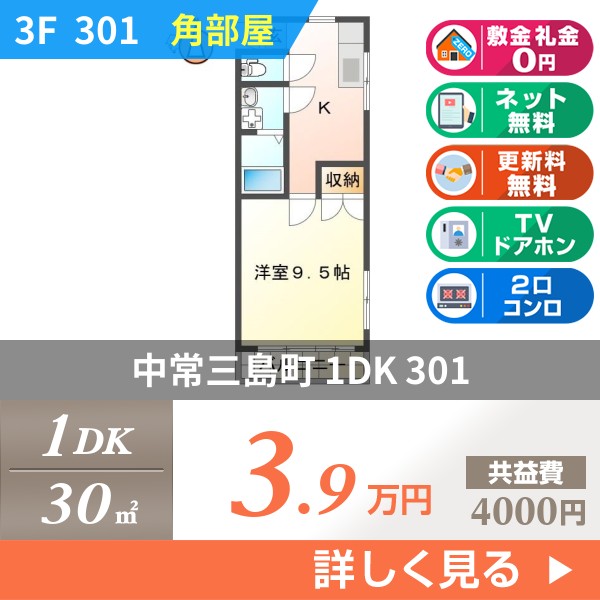 中常三島町 3階建マンション 1997年築 301