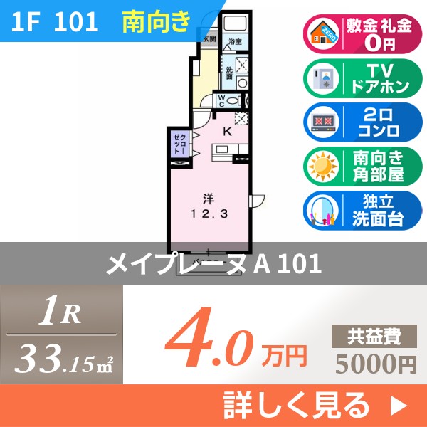 メイプレーヌ A 101