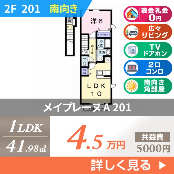 メイプレーヌ A 201