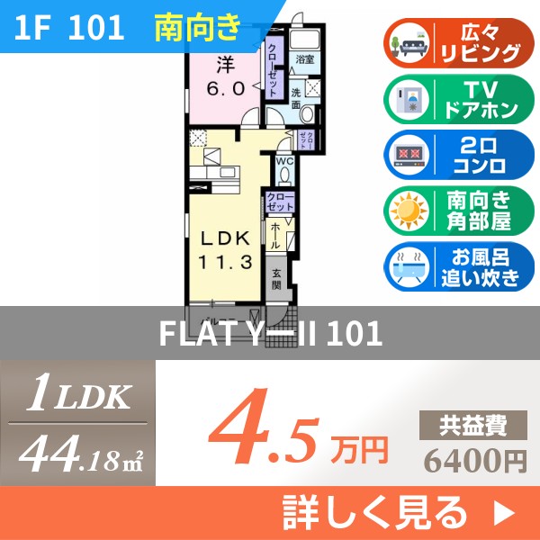 FLAT Y-II 101