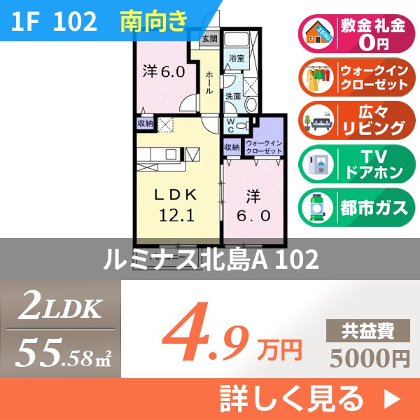 ルミナス北島A 102