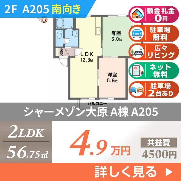 シャーメゾン大原 A棟 a205