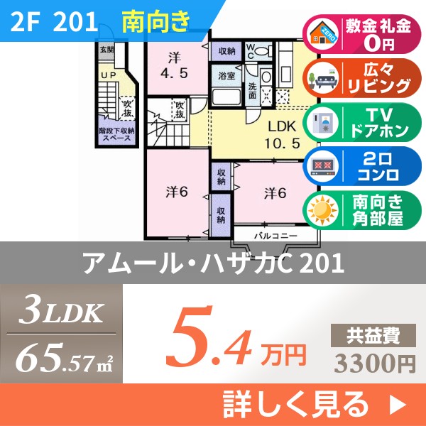 アムール・ハザカC 201