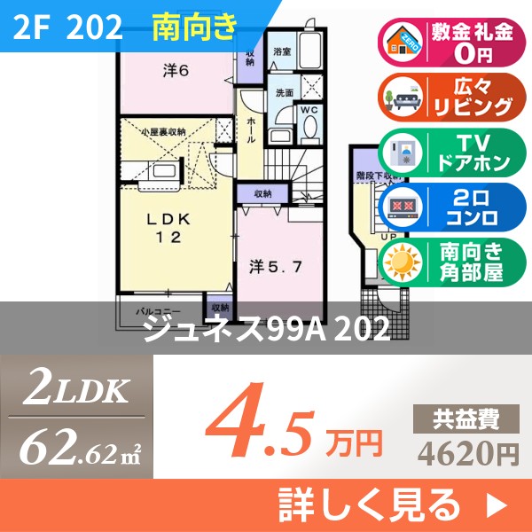 ジュネス99A 202