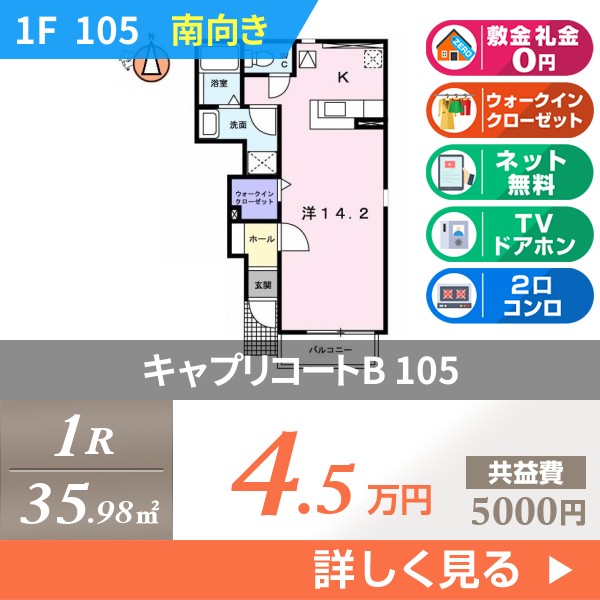 キャプリコートB 105