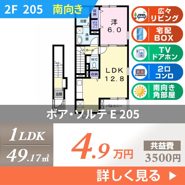ボア・ソルテ E 205