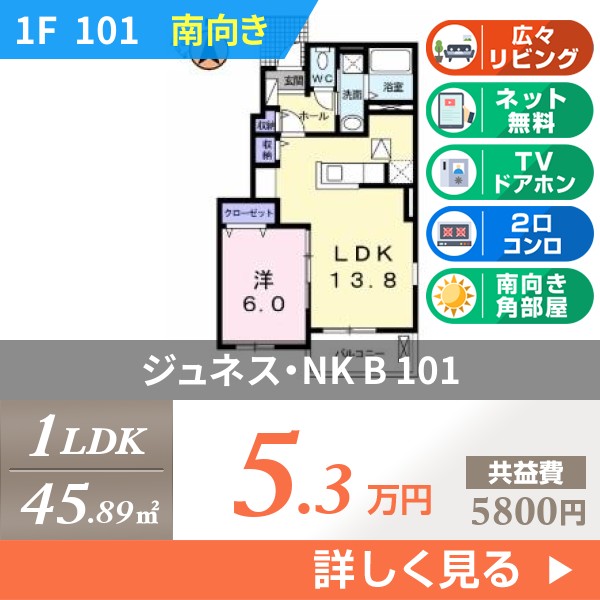 ジュネス・NK B 101