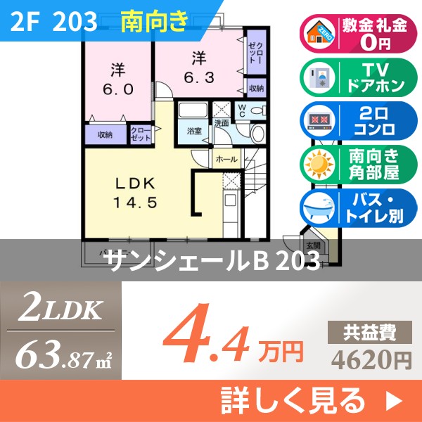 サンシェールB 203