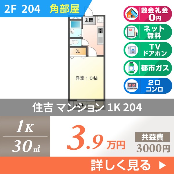 住吉 4階建マンション 1993年築 204
