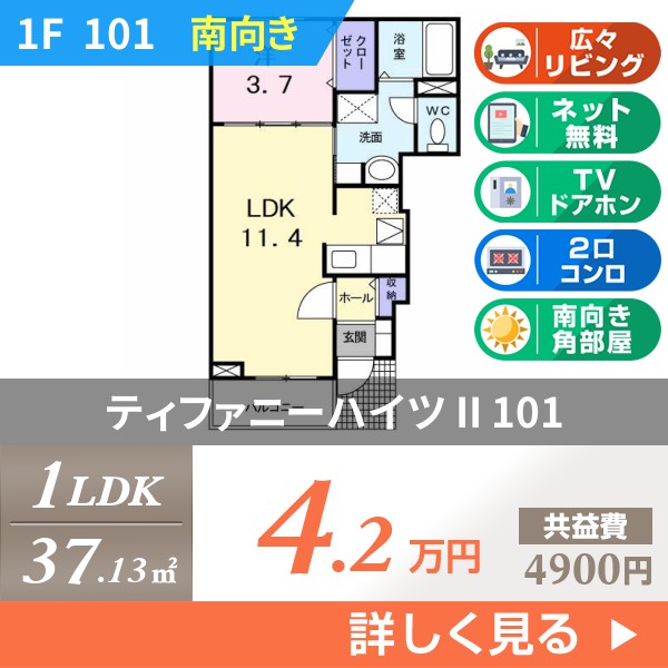 ティファニーハイツ II 101