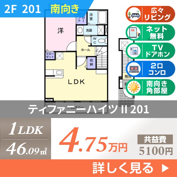 ティファニーハイツ II 201